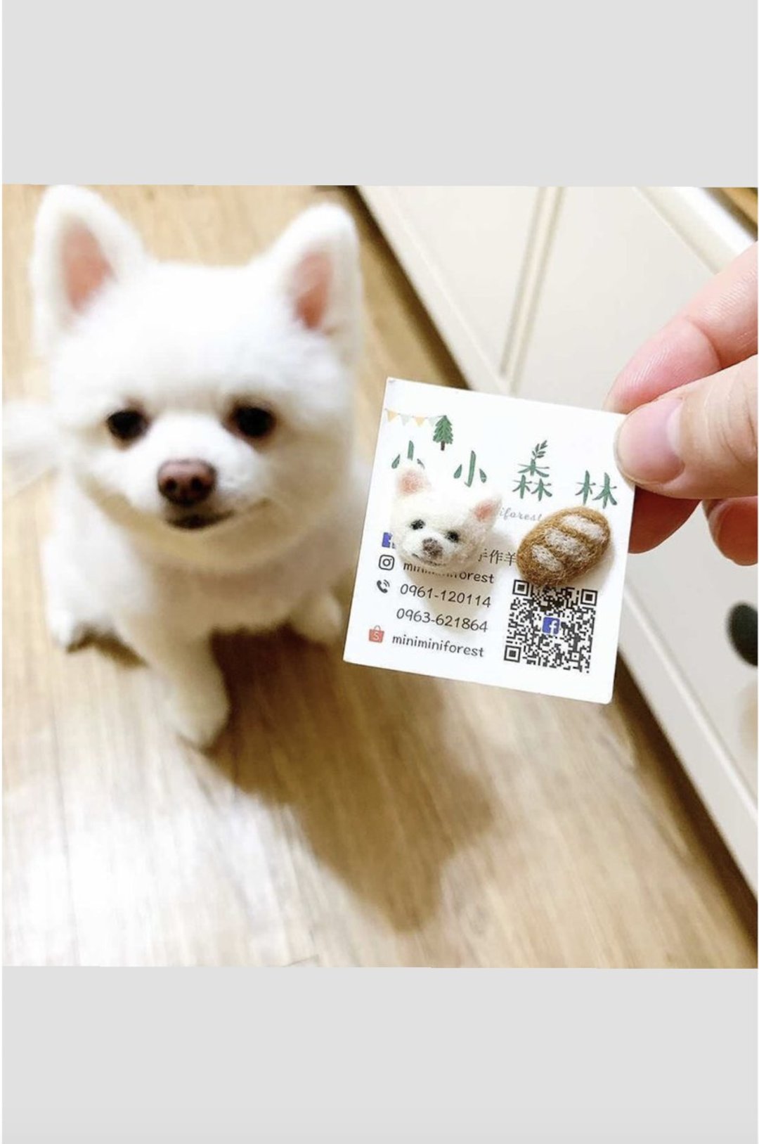 定制宠物耳环 - 耳环/耳夹 - 纯银 卡其色