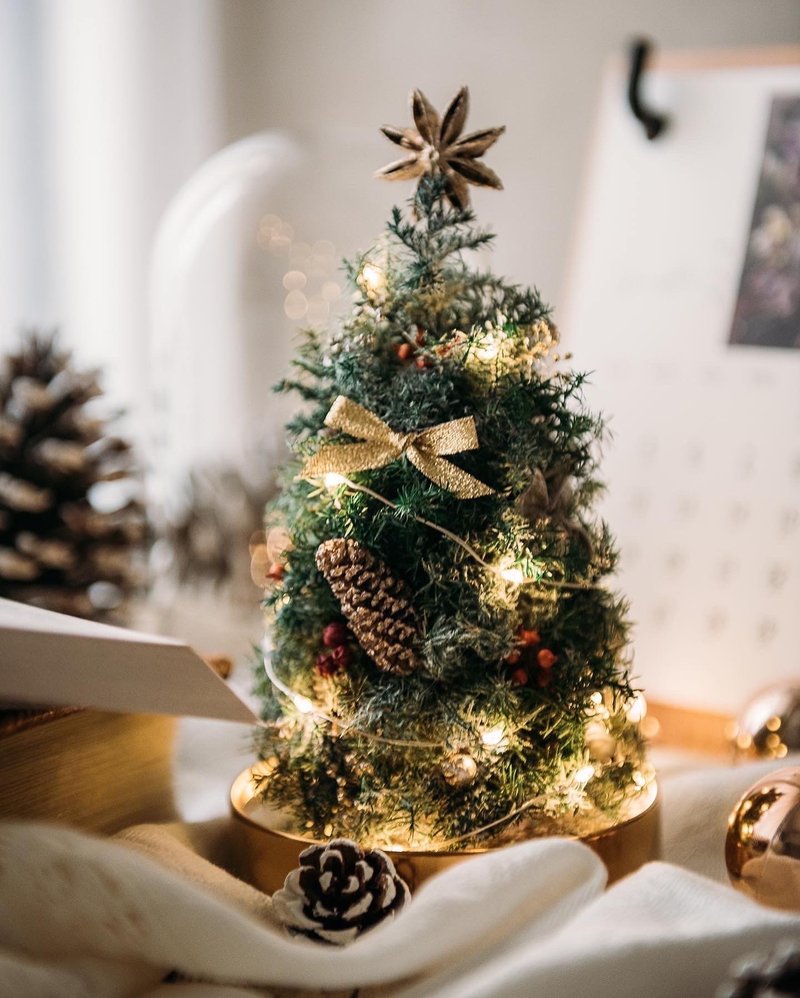 迷你永生花圣诞树玻璃盅罩摆设 - 摆饰 - 植物．花 多色