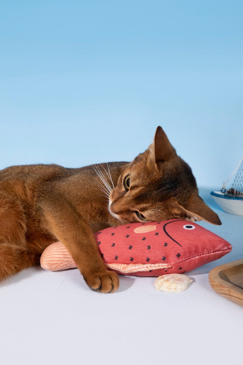 【HiDREAM】貓薄荷魚玩具 磨牙耐咬自嗨解悶逗貓棒 - 玩具 - 棉．麻 橘色