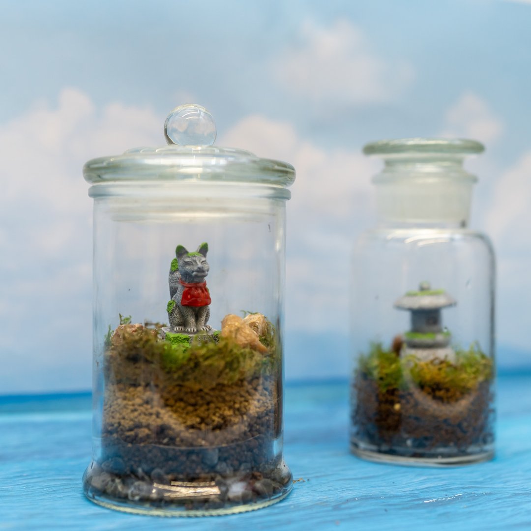 扭蛋的苔藓冒险岛--中型岛 - 植栽 - 植物．花 绿色