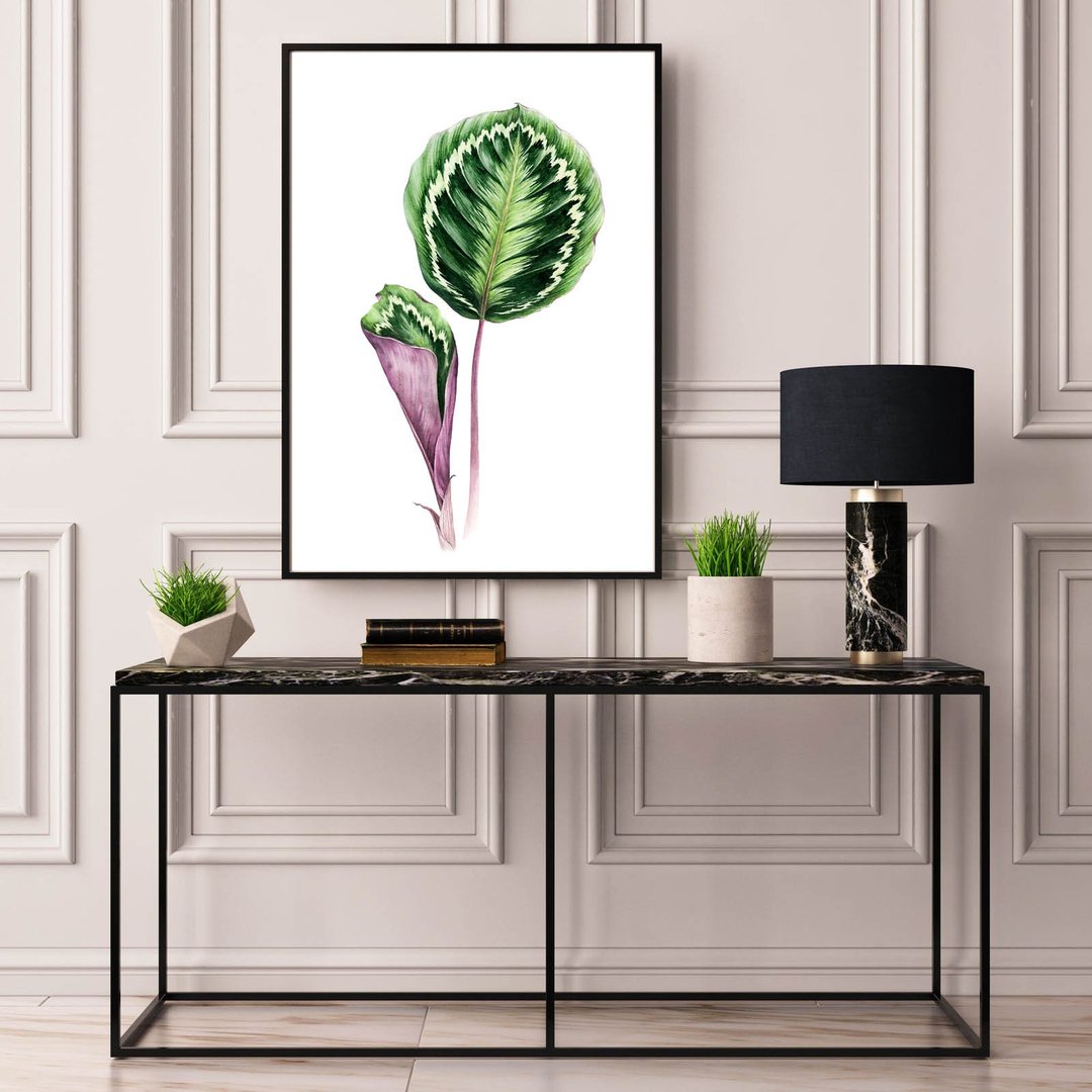 【紫背竹芋】限量版复制画 | 热带雨林植物 | 植栽客厅书卧房挂画 - 海报/装饰画/版画 - 纸 