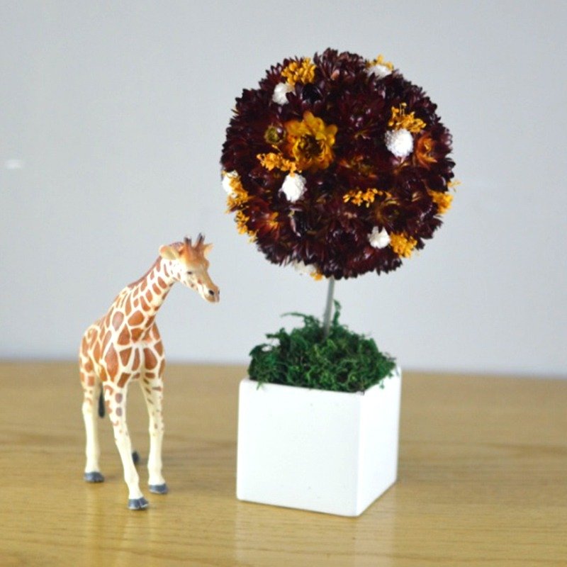 花丘｜夏日艳红干燥迷你花树  花礼 盆栽 花球 自然 摆饰 绣球 红色 毕业礼物 - 植栽/盆栽 - 植物．花 红色