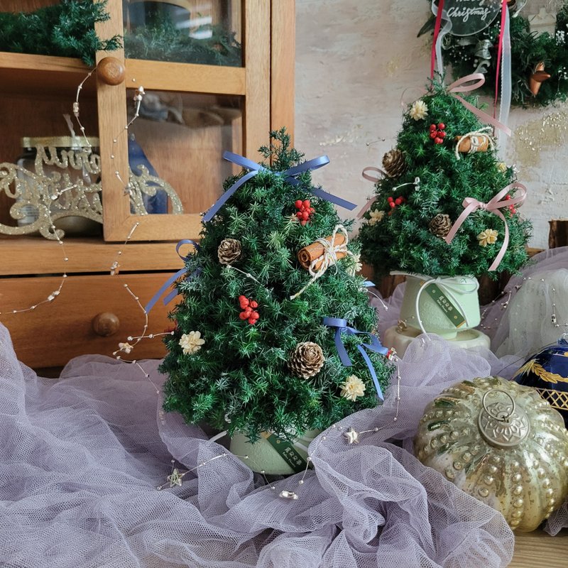 冬日的祝福 | 2025桌型永生雪松圣诞树 | 可选缎带色 | 有赠品 - 摆饰 - 植物．花 