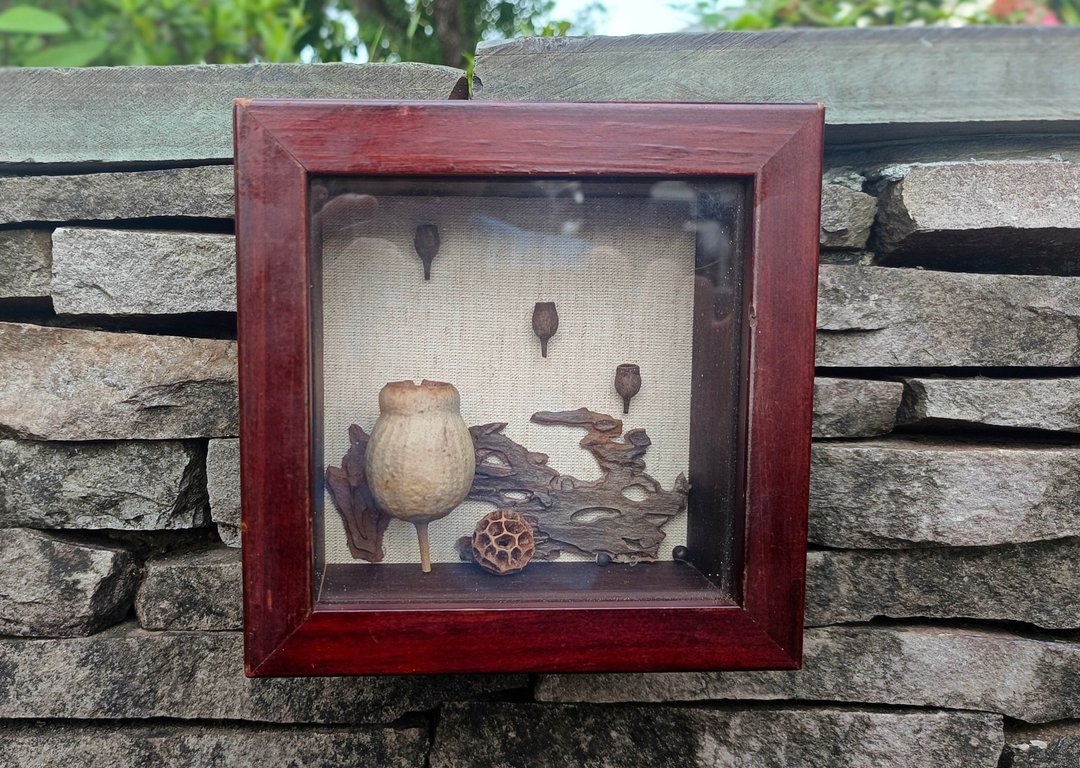 玩种子画 - 海报/装饰画/版画 - 其他材质 