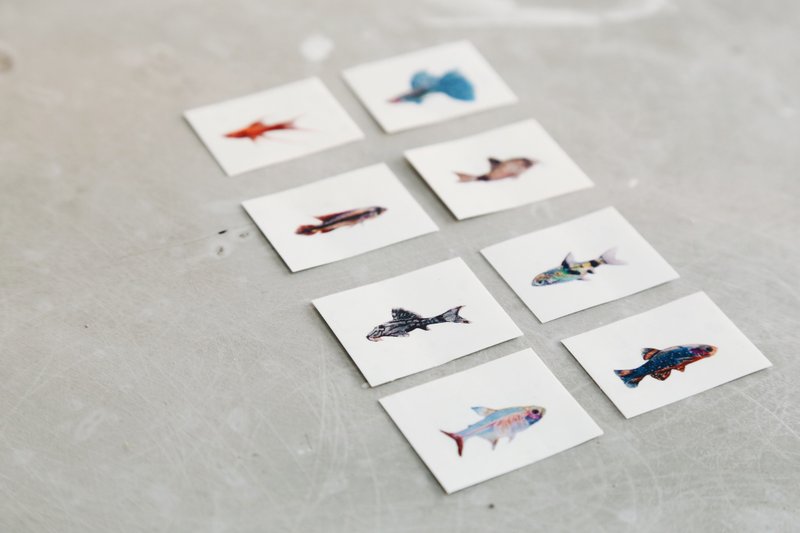 纹身贴纸 鱼鱼鱼s - 纹身贴 - 纸 