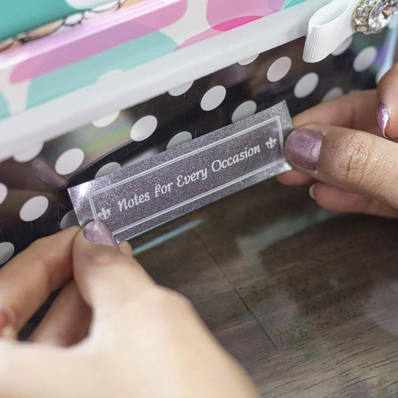 Brother TZe-PR955 华丽护贝标签带 (24mm 华丽银底白字) - 其他 - 纸 银色