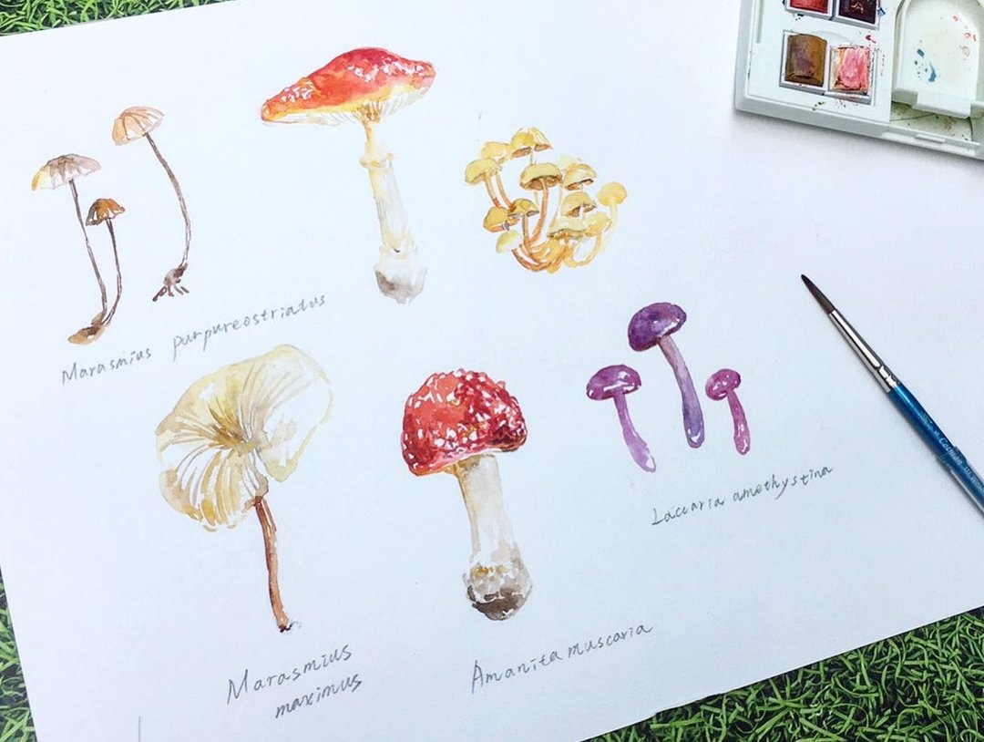 【一人成团】元气菇菇 / 水彩渲染插画 - Hazel老师 - 插画/绘画/写字 - 纸 
