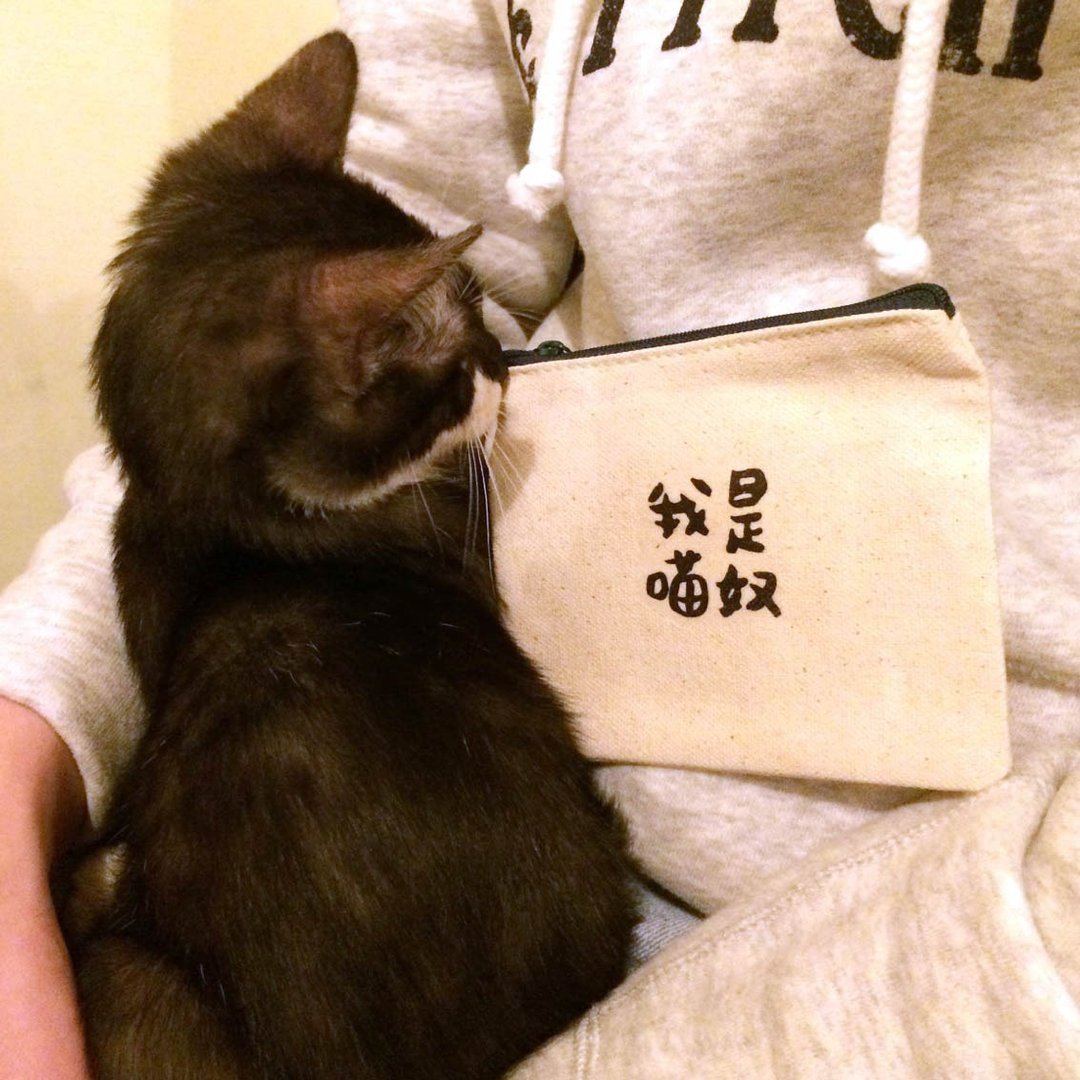 我是猫奴 万万岁 帆布零钱包 手工印制 Coin bag - 零钱包 - 棉 