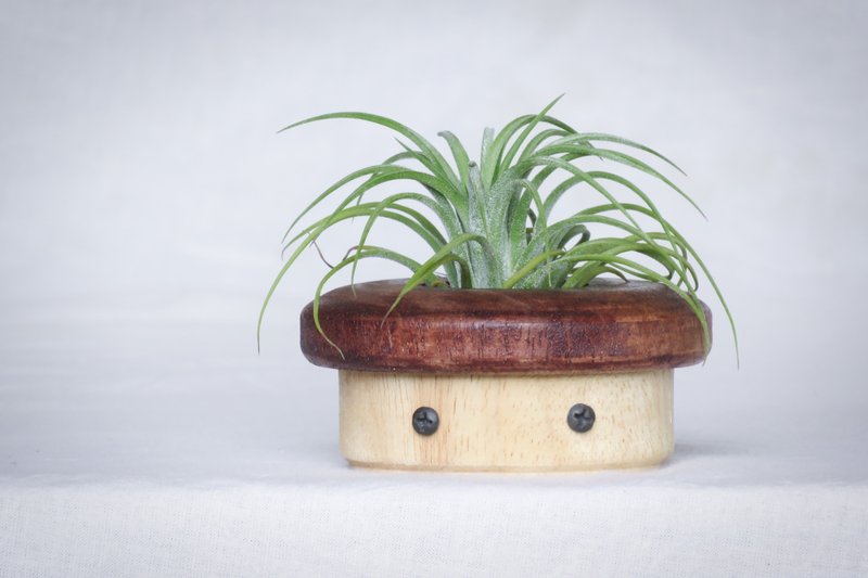 原创木作【蘑菇小姐】生活居家摆件  赠空气凤梨或多肉植栽 - 植栽/盆栽 - 木头 咖啡色