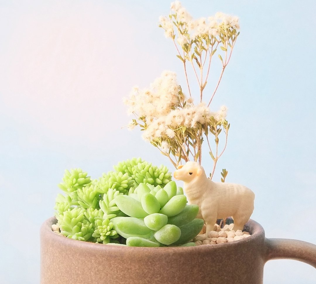〈草原吹吹风〉多肉植物 干燥花 羊 陶瓷 咖啡色 盆栽  <Grassland blow> Succulents potted - 植栽/盆栽 - 陶 咖啡色