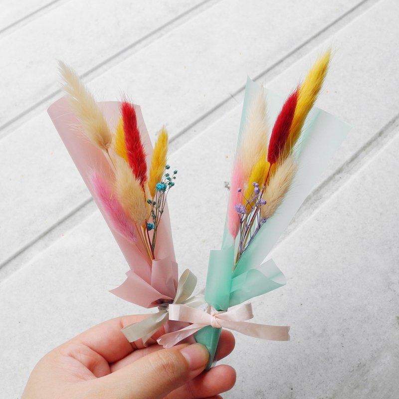 兔尾草小花束 蒂芬尼绿tiffany 干燥花  情人节/母亲节/生日/毕业/摆饰/周年纪念 - 植栽/盆栽 - 植物．花 多色