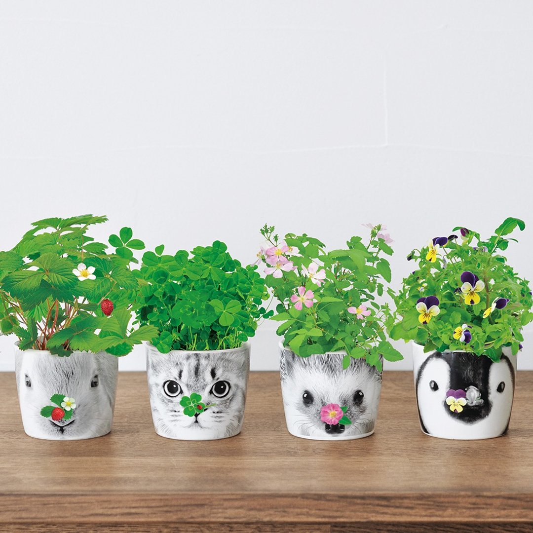 HANA &ANIMALS 动物陶瓷花朵栽培盆器 - 植栽/盆栽 - 陶 白色