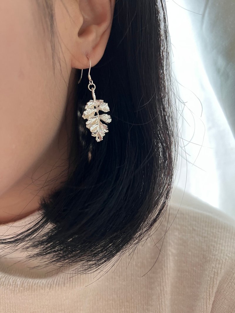 植系-银叶菊-纯银耳环-月光石 - 耳环/耳夹 - 纯银 银色