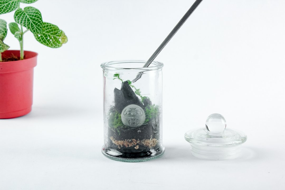 【Wu Ai专属卖场】生态瓶DIY材料包35组 - 植栽 - 植物．花 