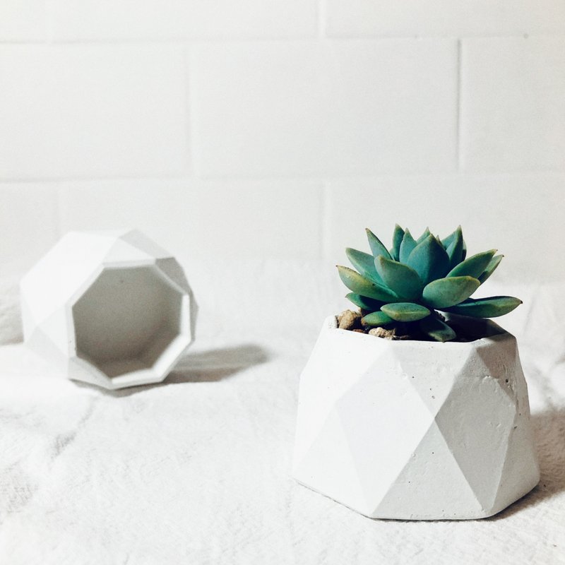 纯粹系列-多面泥盆/质感白 - 植栽/盆栽 - 水泥 白色
