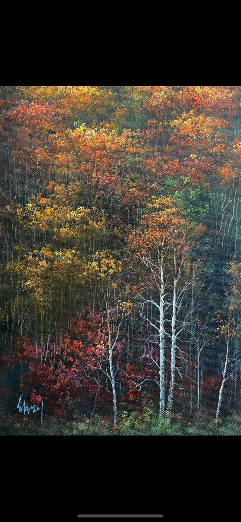 2023油画小品创作 秋日白桦 (19*27 cm) 新春优惠价 - 摆饰 - 棉．麻 
