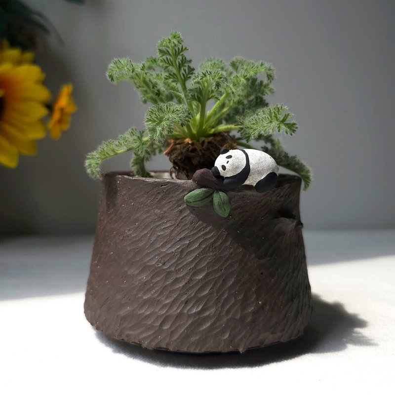 little sleeping panda on black clay planter. - 花瓶/陶器 - 陶 