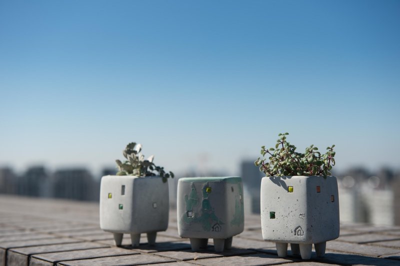 水泥器皿 / 一房一厅小公寓 - 植栽/盆栽 - 水泥 灰色