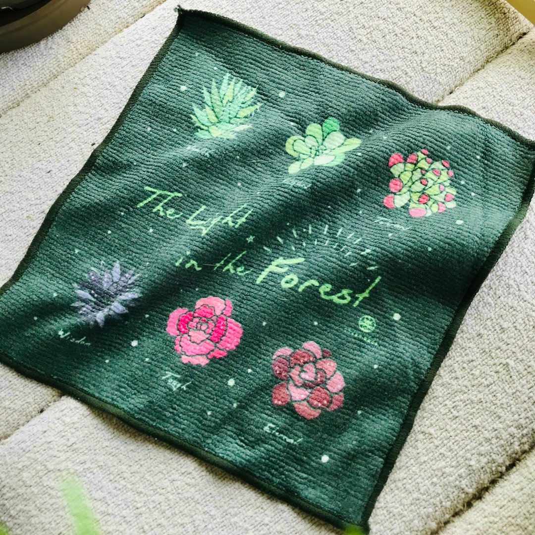 森之光景多肉植物原创插画方巾-超细柔毛巾-擦手巾 - 毛巾浴巾 - 人造皮革 