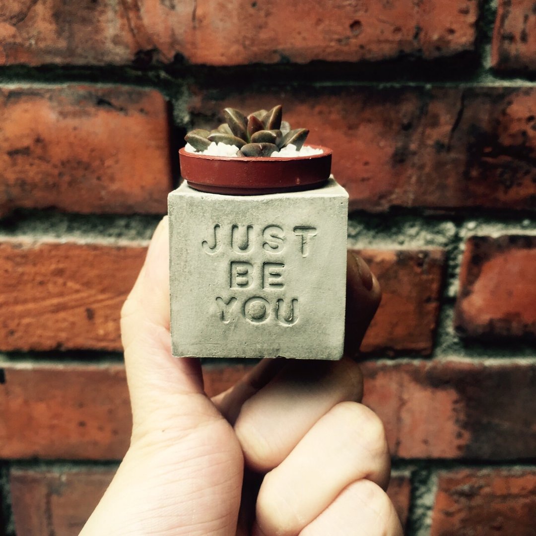 Just be you做自己～!多肉磁铁盆栽 - 植栽/盆栽 - 水泥 灰色