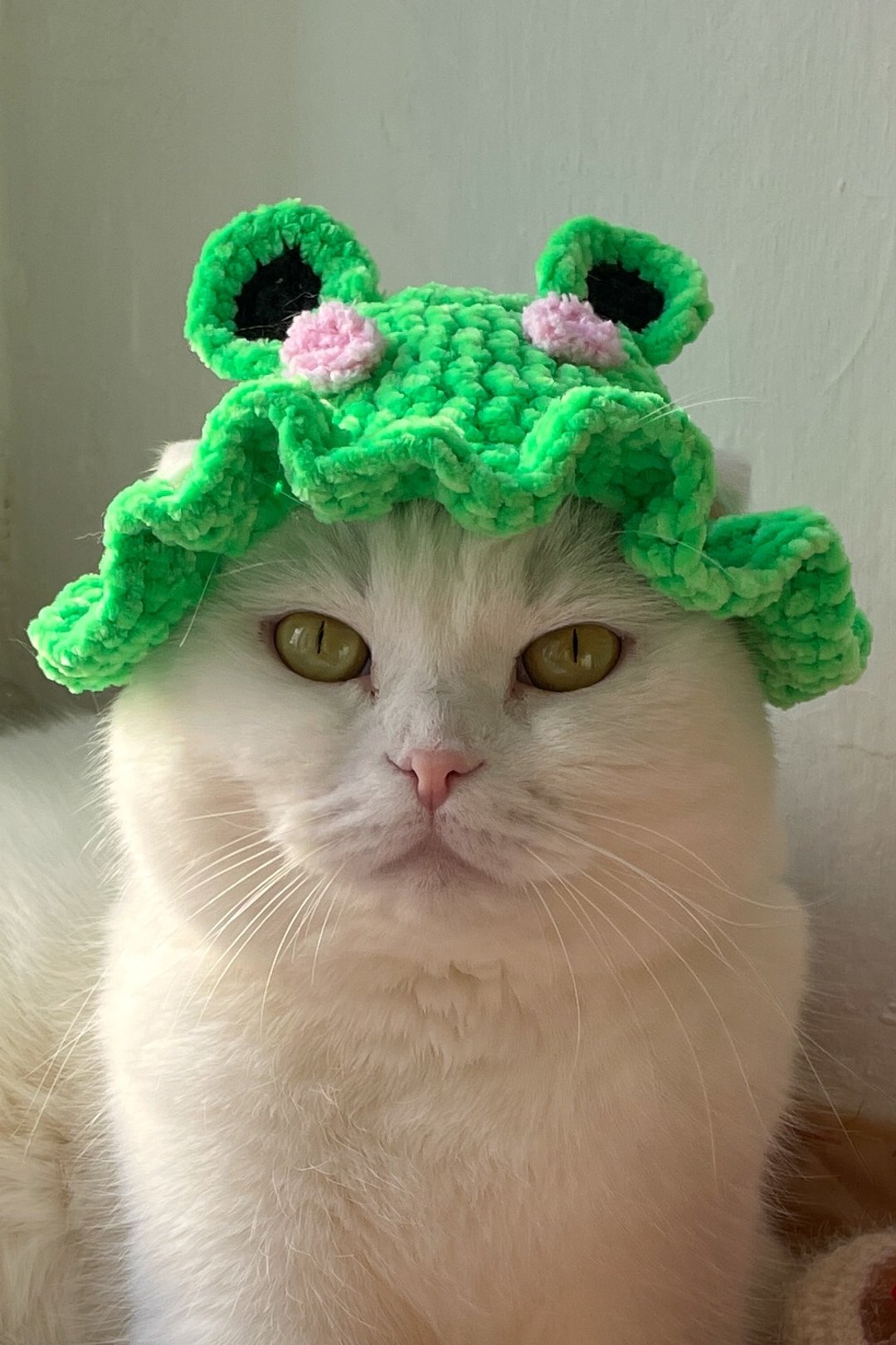 青蛙猫帽，青蛙帽钩针图案，猫蛙帽，可爱宠物帽，渔夫帽 - 手工艺教程/工具书 - 其他材质 
