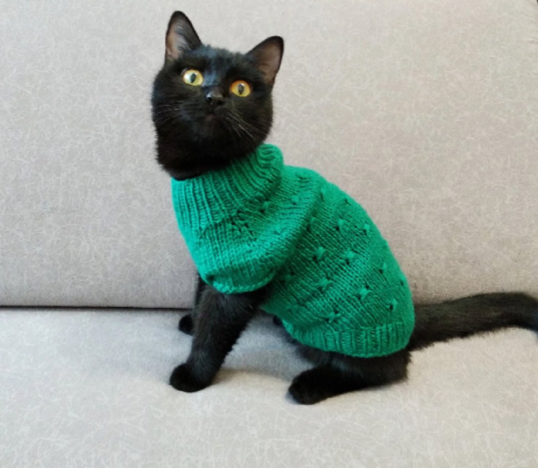 Hand knit cat sweater Jumper for cat Pet sweater Sphynx cat sweater Pets outfit - 衣/帽 - 羊毛 
