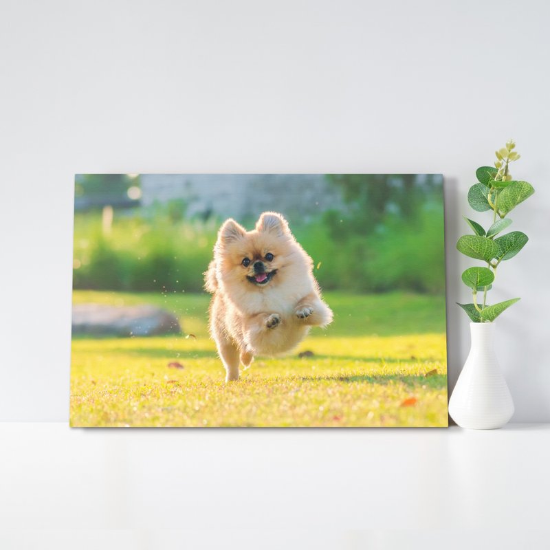 定制化无框画 宠物纪念品 宠物订制 无框挂画 - 画框/相框 - 其他材质 