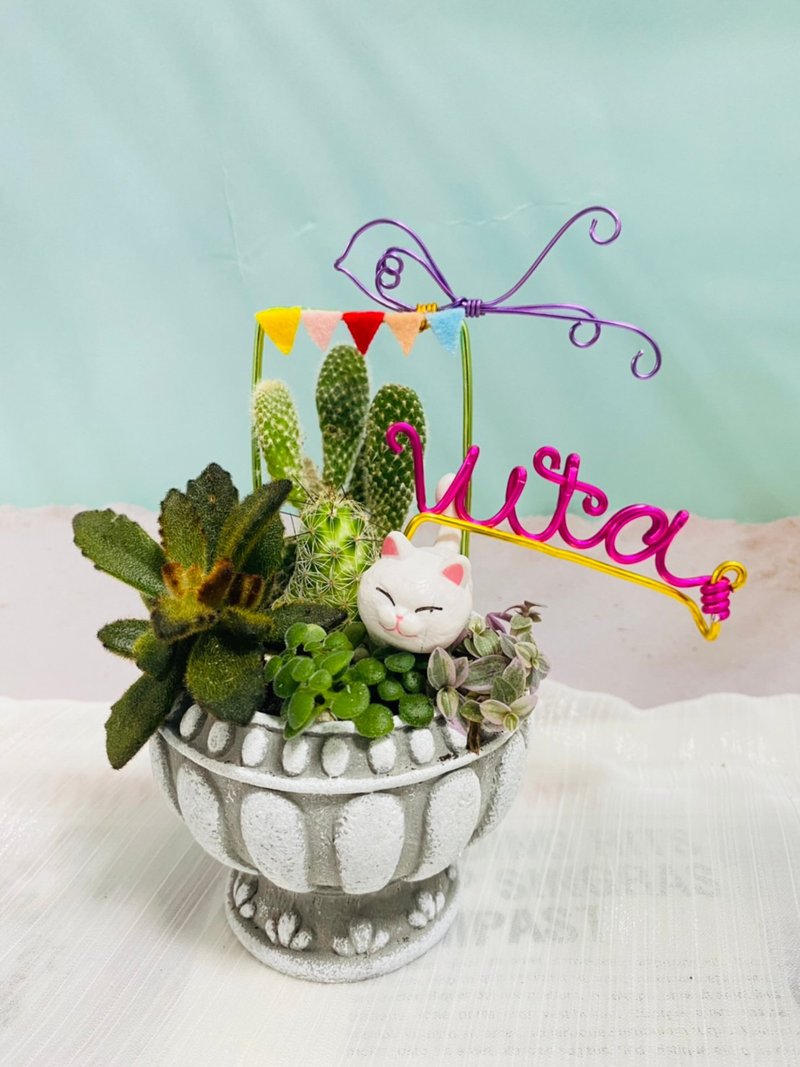 【快速出货】 多肉组盆新手入门 办公室热门小盆栽 2寸复古冠军杯 - 植栽/盆栽 - 水泥 