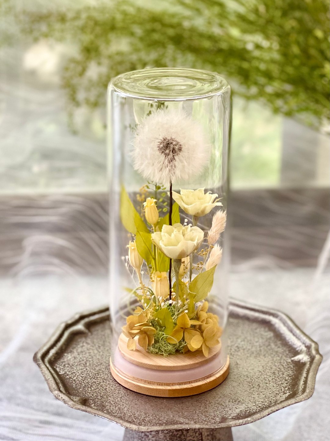 Rosemary春の蒲公英玻璃罩  永生花/情人节/生日/毕业/礼物 - 干燥花/捧花 - 植物．花 绿色