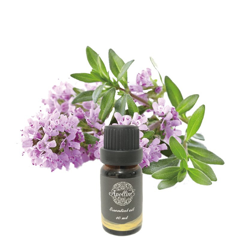 百里香精油 THYME - 香薰/精油/线香 - 精油 