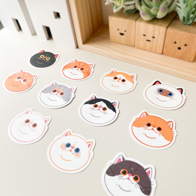 【Hajima Studio】防水异短猫猫贴纸 手帐贴纸 - 贴纸 - 塑料 多色