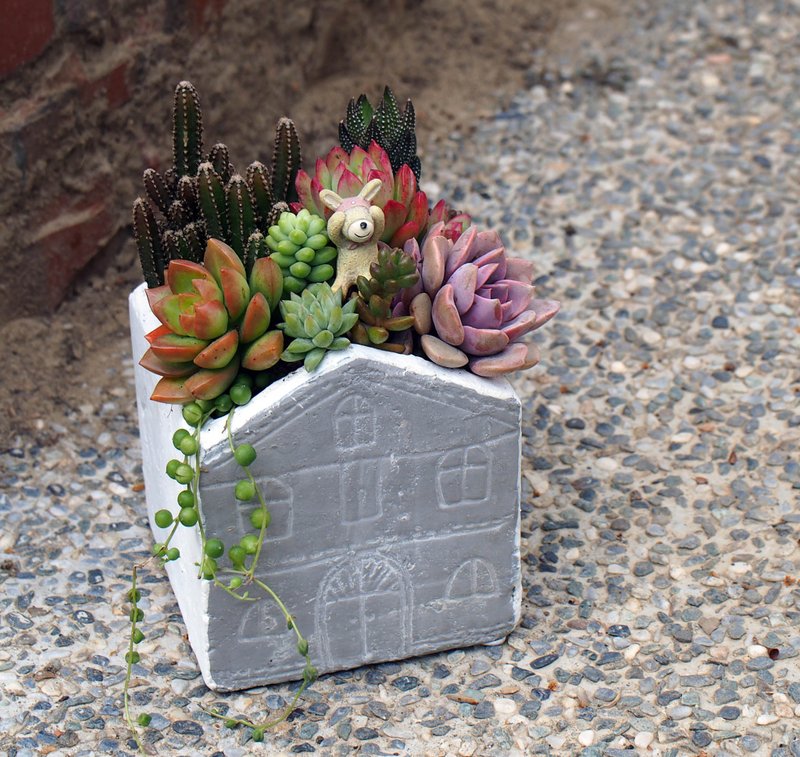 疗愈系列  | 浪漫满屋。开幕乔迁送礼 - 植栽/盆栽 - 陶 