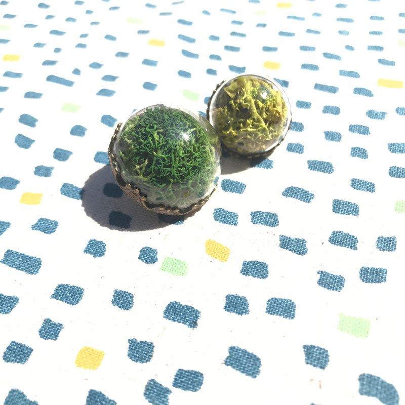 玻璃森林/ 金属耳环 环形温室 - 耳环/耳夹 - 玻璃 绿色