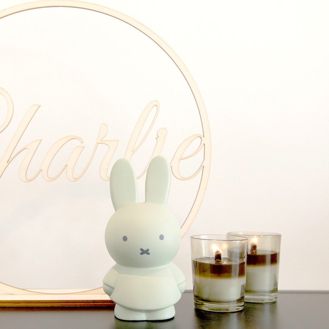 Miffy 米菲兔莫兰迪色系款公仔存钱筒-小号  蓝绿色 - 储蓄罐 - 其他材质 多色