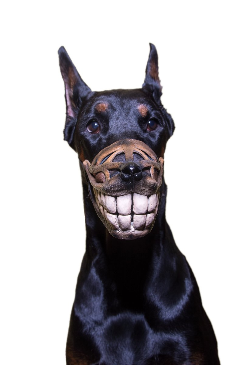 Pet Gift Funny dog muzzle Hand painted Smile Doberman muzzle Halloween Costume - 其他 - 塑料 多色