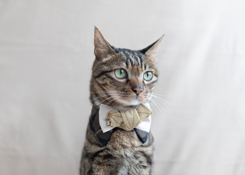 【和服・きもの系列】宠物领巾 猫咪/狗狗 和风 男生款 - 黑色 - 项圈/牵绳 - 棉．麻 黑色