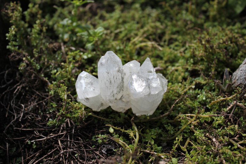 印度钻石鱼眼共生绿幽、钻石鱼眼带绿幽、鱼眼石 - 摆饰 - 水晶 