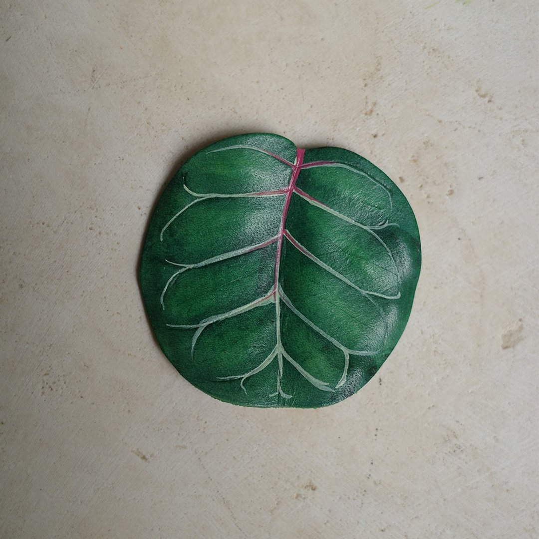 海葡萄 Coccoloba uvifera - 摆饰 - 真皮 绿色