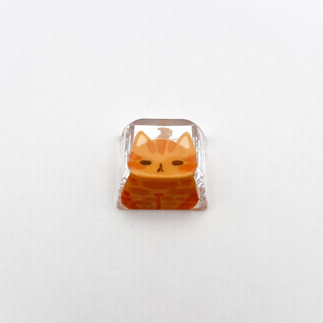 XDA键帽橙猫（晶莹剔透） - 电脑配件 - 塑料 透明