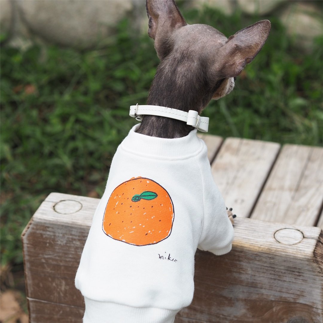 Mikan Dog's Sweatshirt 橘子 Tangerine - 衣/帽 - 棉 白色