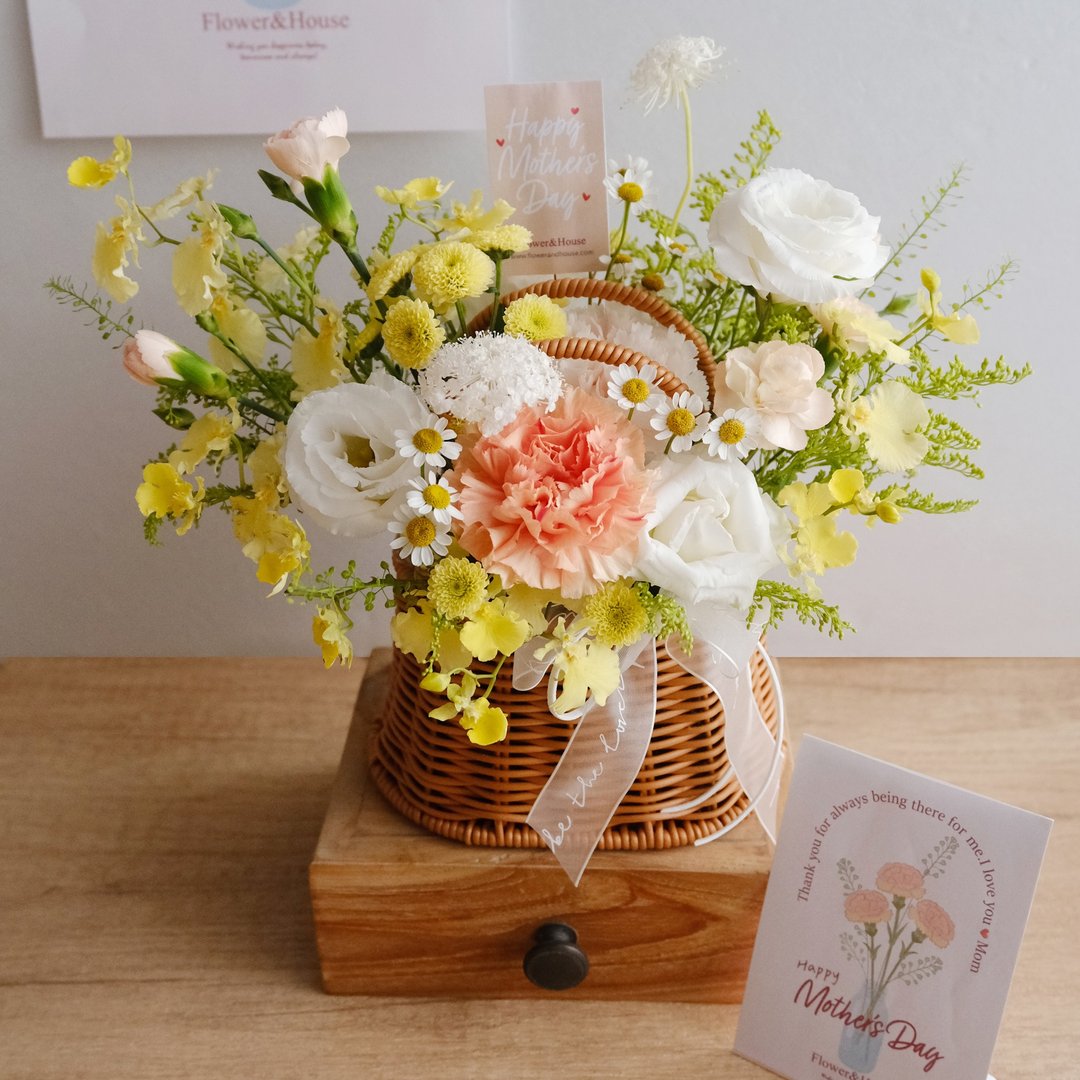 限自取 鲜花 Love 妈咪 母亲节 春日野餐提篮盆花 (橘黄 S) 康乃馨盆 - 其他 - 植物．花 橘色