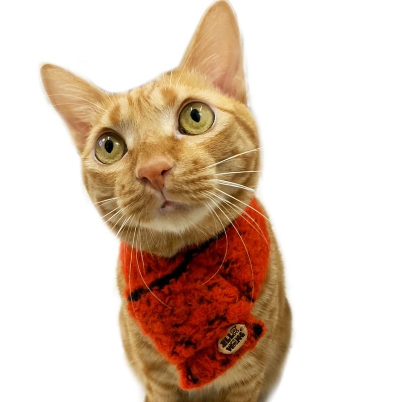 Ella Wang Wool scarf 宠物 围巾 猫 狗 羊毛 保暖 韩国 欧爸 - 衣/帽 - 羊毛 橘色
