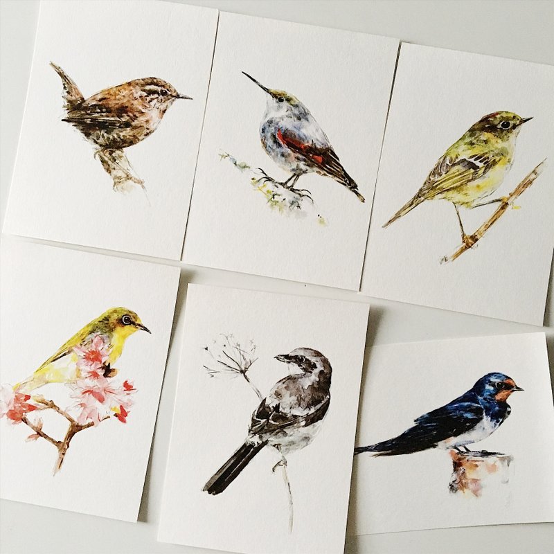 福袋！30入明信片 - 卡片/明信片 - 纸 