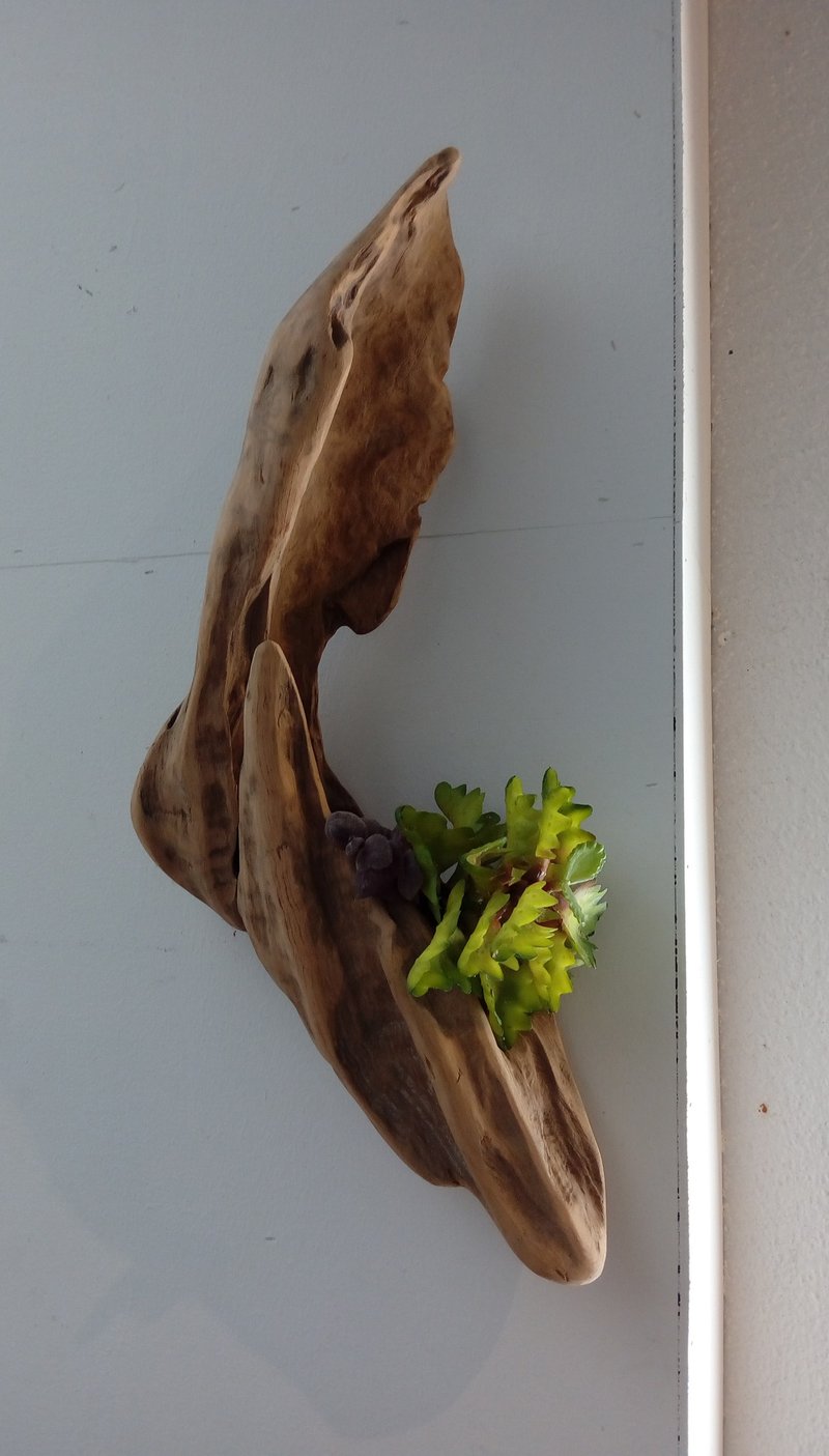 小绿绿与木木  黑手指朋友好礼 居家妆点  浪漫省时省力又美丽 - 植栽/盆栽 - 木头 绿色