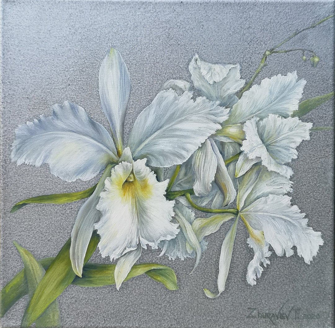 White Orchid Oil Painting Original Art on Canvas 40x40 cm. - 海报/装饰画/版画 - 棉 