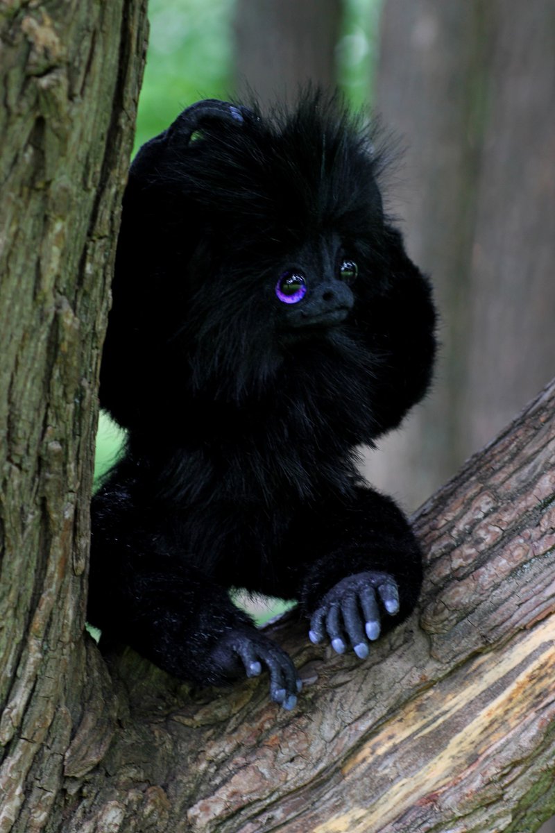 猴子查理 - 玩偶/公仔 - 其他材质 黑色