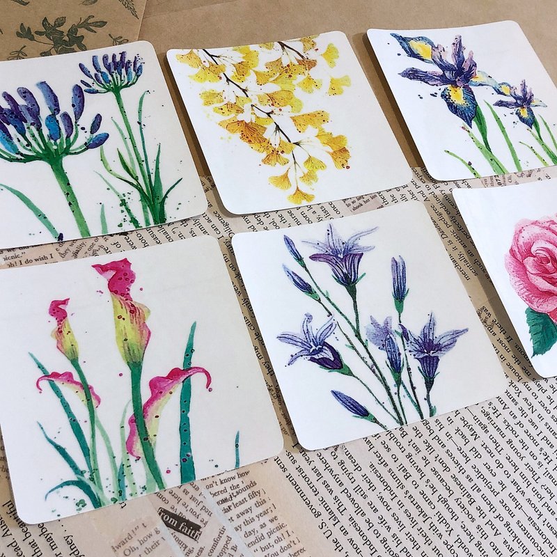 心花怒放 │ 透明防水贴纸 │ 14 Pcs - 贴纸 - 防水材质 