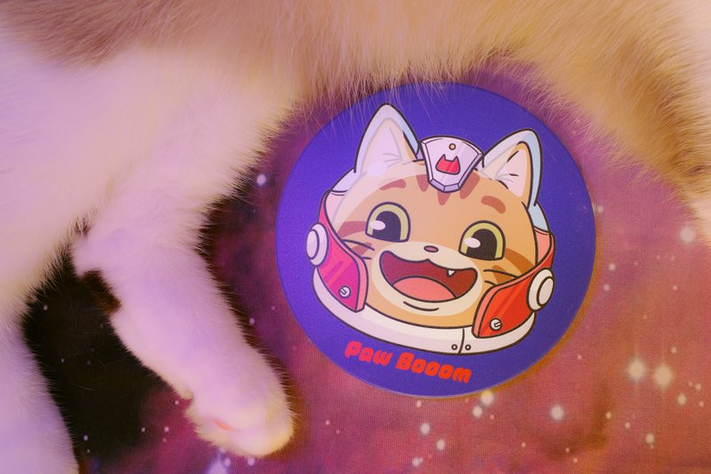 宇宙猫咪 - 拉姆舰长吸水杯垫 - 杯垫 - 陶 蓝色