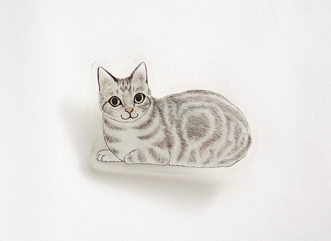 cat brooch (classic tabby) - 胸针 - 塑料 透明