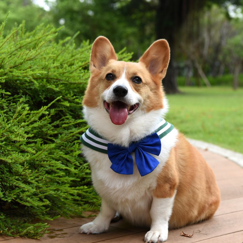 萌少女战士水手领 - 海王星 - 三种穿搭、附蝴蝶结 & 水手结 - 衣/帽 - 棉．麻 绿色